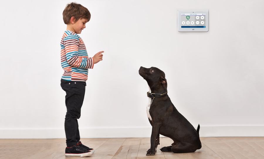 Post security systems